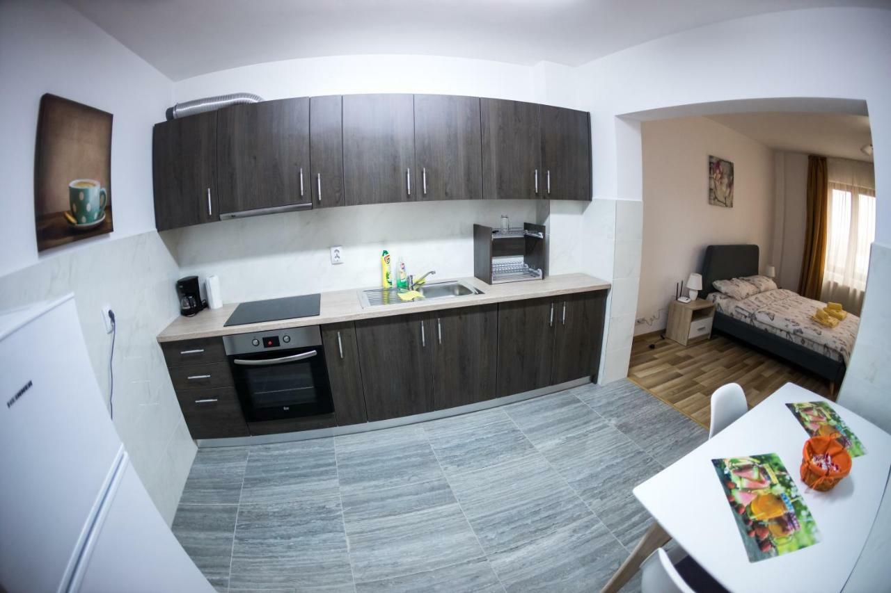 Travel Homzzz Apartments Târgu-Mureş Exteriér fotografie